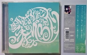 中古CD　Aqua Timez『 空いっぱいに奏でる祈り 』 品番：SHCC-0002