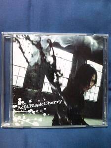 Acid Black Cherry★★冬の幻