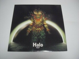 ★チューリップ / Halo / LP ★