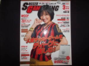 SOCCER GAME KING(サッカーゲームキング) No25