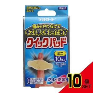 デルガードクイックパッドミニ10枚 × 10点