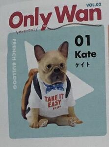 ★Only Wan ガチャ★01 Kate (ケイト)★