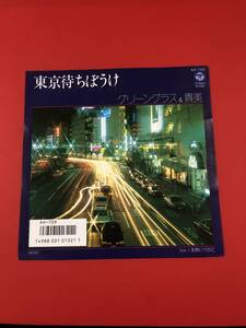 希少レアグリーングラス&貴美　東京待ちぼうけ♪ EPレコード！