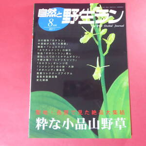 YN4-241219☆自然と野生ラン 2011年8月号　富貴蘭　朝顔　※ 園芸JAPAN