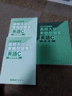 臨海セミナー2023年受験用高校入試実戦問題集　英語C