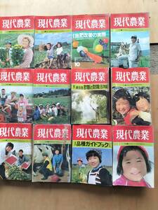 現代農業　昭和５7年　1月～12月　1年分　12冊　まとめて　当時物　レトロ