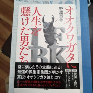 新品同様　オオクワガタに人生を懸けた男たち 野澤亘伸／著