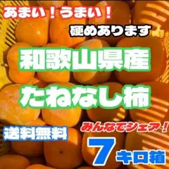 たねなし柿　7キロ　種無し柿　種なし柿　早生柿　和歌山県産　persimmon