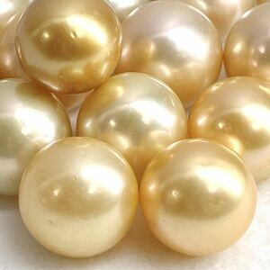 ●ゴールデンパール14点おまとめ●u 50.4g/252ct 約12.3-17.5mm珠 pearl パール 南洋白蝶 本真珠 jewelry 裸石 宝石 golden pearl