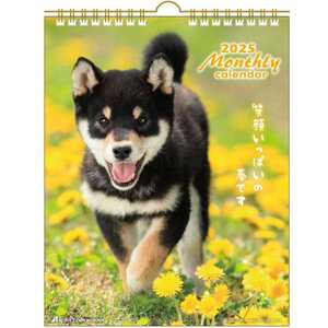 2025 Calendar DOGマンスリー 壁掛けカレンダー2025年 スケジュール いぬ