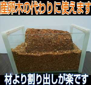 椎茸廃菌床4ブロック☆クワガタ幼虫の餌、産卵木の代わりに！クヌギ100％ 発酵マットに埋め込むと栄養強化になりカブト幼虫がサイズアップ