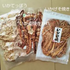 いかげそ焼き　いか姿焼きわれ　いかてっぽう白焼き　各1袋　いかせんべいおつまみ