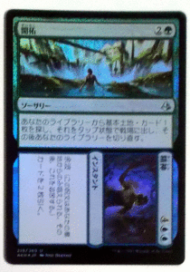 ＭTG日本語/Foil/開拓＋精神/アモンケット/アンコモン