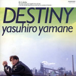 DESTINY/山根康広