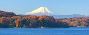 秋富士 紅葉の富士山 狭山湖 もみじ パノラマ 絵画風 壁紙ポスター 特大パノラマ版1440×376mm（はがせるシール式）103P1