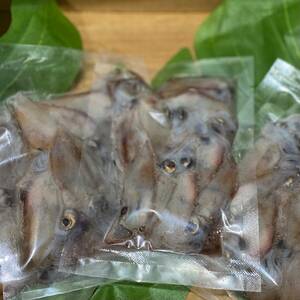 国産 天然 ホタルイカ 100g 鮮度抜群 冷凍発送 ほたるいか 