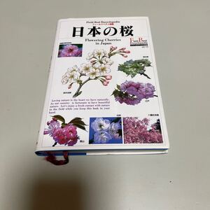 即決　日本の桜 （フィールドベスト図鑑）VOL.10　勝木俊雄