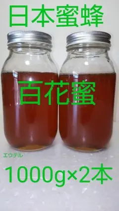 日本蜜蜂　百花蜜　1000g×2本　ニホンミツバチ　100%純粋天然混ぜものなし