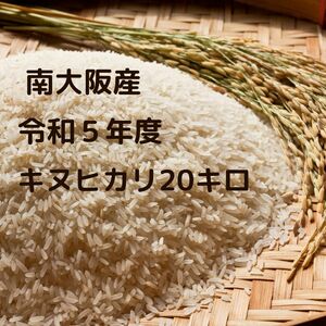 ★冷蔵保存★　令和5年度 南大阪産 キヌヒカリ 玄米20ｋｇ(精米後１８ｋｇ）