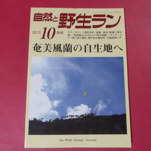 YN4-241219☆自然と野生ラン　2012年　10月