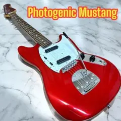 Photogenic Mustang  フォトジェニック ムスタング　アズニャン