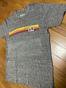 ☆LightningBolt ライトニングボルト サーフ Tシャツ U.S.A Mサイズ☆