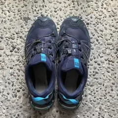 salomon XA PRO 3D