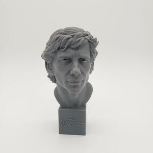 Ayrton Senna Bust GK アイルトンセナバストガレージキット Sideshow Prime1 Studios XM Studios