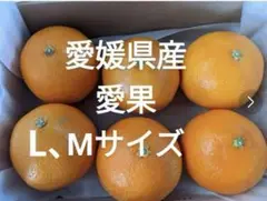 愛媛県島育ち愛果(紅マドンナ同品種)ゆうパケットプラス