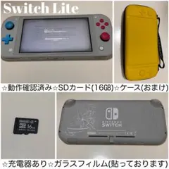 Nintendo Switch Lite グレー SDカード16GB ケース付き