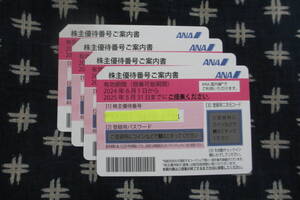 ANA株主優待券4枚　券送付無料 ★2025年5月31日まで