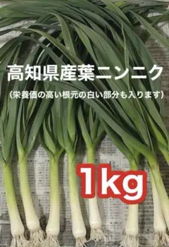 高知県産葉にんにく　葉ニンニク　野菜　産地直送1kg awgt