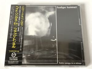 未開封 見本盤/ ファッジ・トンネル FUDGE TUNNEL ヘイト・ソングス・Em イー・マイナー HATE SONGS IN E MINOR ニルヴァーナをぶっとばせ