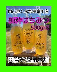 あま〜い♪おかやま産 搾りたて♪はちみつ500g×3 令和6年5月採蜜