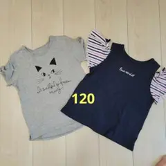 Tシャツまとめ売り120
