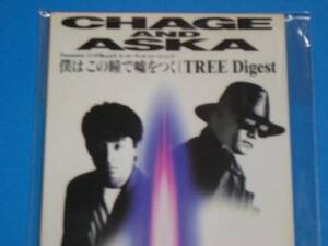 美品 CHAGE&ASKA チャゲ＆飛鳥 僕はこの瞳で嘘をつく 100円均一 CD (No.2819)