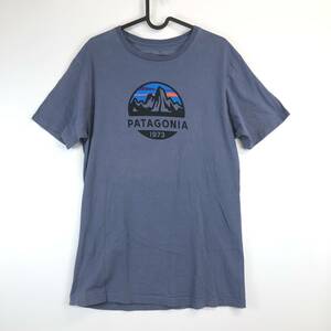 パタゴニア Patagonia 半袖Tシャツ オーガニックコットン スリムフィット Mサイズ 39144