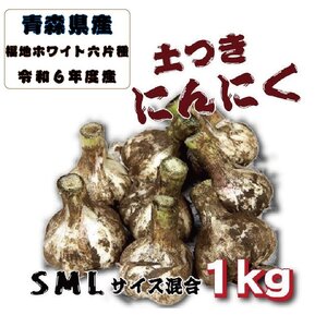 令和6年産 新物 青森県産 土付きにんにく SMLサイズ混合 １㎏ 福地ホワイト六片種【8069】