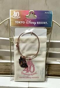 ブレスレット TDR ディズニー ランド シー 40周年 40th TDL TDS 新品 巾着 ティンカーベル シンデレラ城 ミッキー ブレス アクセ