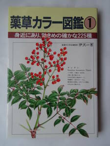 中古本　「薬草カラー図鑑」身近な２２５種を解説