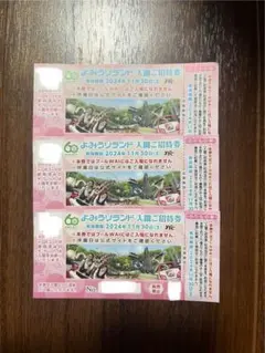 よみうりランド 入園招待券 3枚　11月30日まで