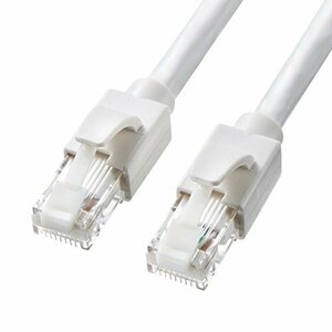 サンワサプライ CAT6A LANケーブル (10m) 10Gbps/500MHz RJ45 ツメ折れ防止 ホワイト KB-T6A