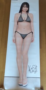 桜井木穂 等身大 ポスター (約180×60㎝) 魅惑のボディー ビキニ 紐パン 徳間書店 アサ芸シークレット 未使用品