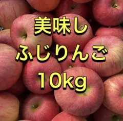 山形県産 美味しいふじ りんご　　ご家庭向け　10kg