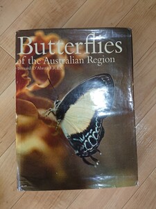 ○Butterflies/of the Australian Region/蝶々/古い図鑑○1971