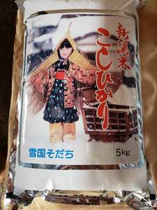 新米令和六年産　新潟県産コシヒカリ　1等米　5ｋｇ×2袋　白米