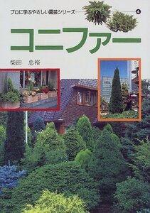 【中古】 コニファー (プロに学ぶやさしい園芸シリーズ)