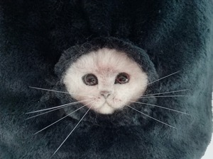 羊毛フェルト　猫　猫ちゃんエコファートートバッグ・トートバッグ・バッグ・ハンドメイド