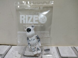 希少！レア！　ベアブリック　RIZE　未開封