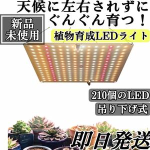 即日発送！新品　植物育成ライト 吊り下げ式　LED ライト 栽培 室内栽培 家庭菜園　省エネ　ガーデンライト